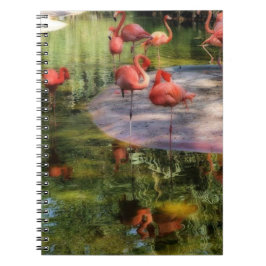 Flamingo-Notebook Notizblock