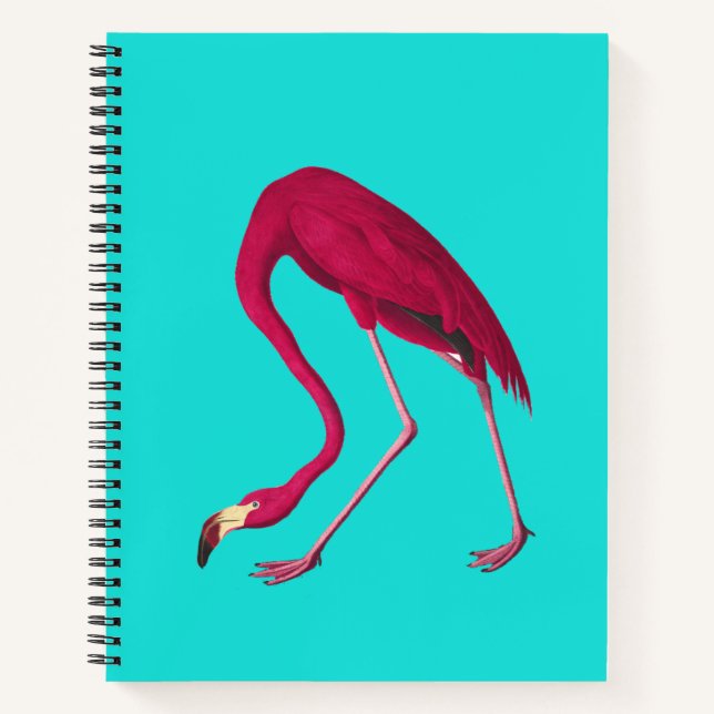 Flamingo Notizbuch (Vorderseite)