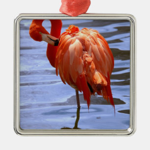 Flamingo on leg in water silbernes ornament