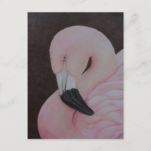 Flamingo Original Bird Kunst Postkarte (Vorderseite)