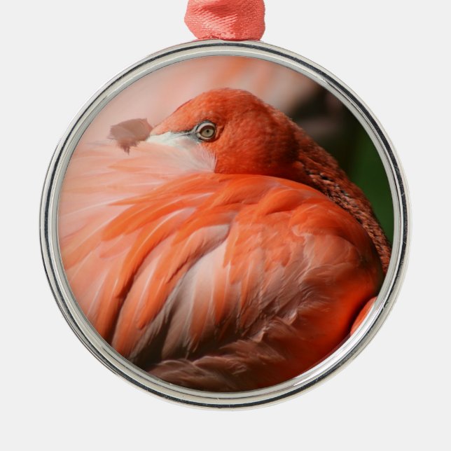 Flamingo Ornament (Vorne)