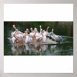 Flamingo Party Poster