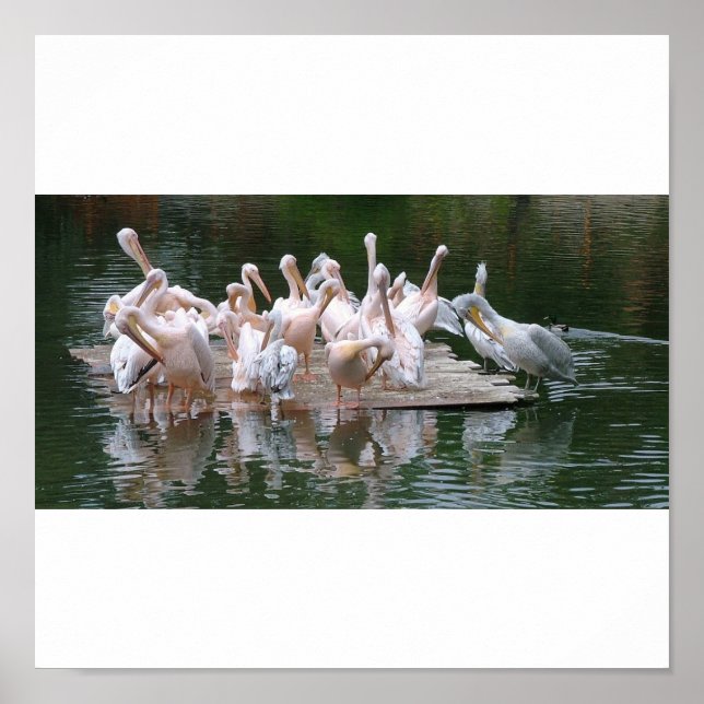 Flamingo Party Poster (Vorne)