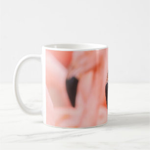 Flamingo (Phoenicopterus chilensis), mit Kaffeetasse