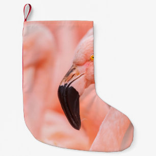Flamingo (Phoenicopterus chilensis), mit Kleiner Weihnachtsstrumpf