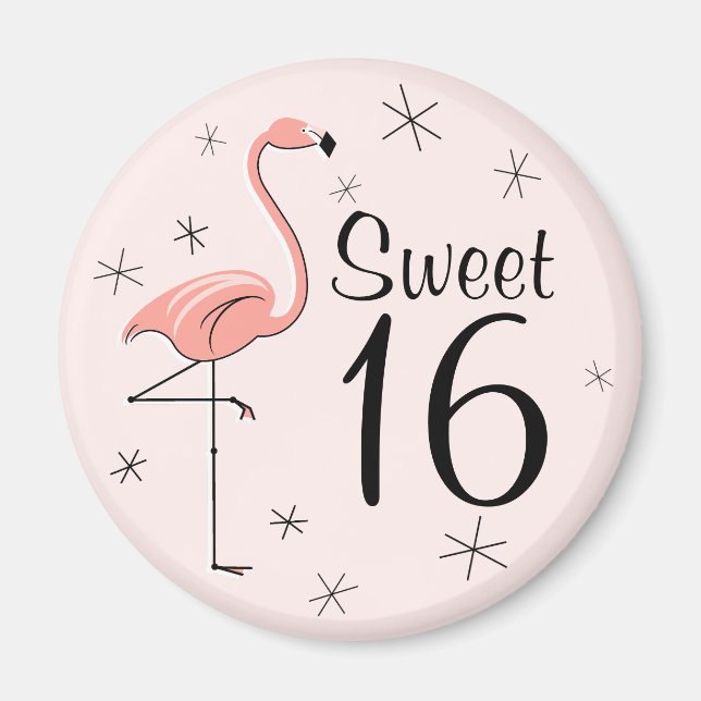 Flamingo Pink Sweet 16 Magnet (Vorne)