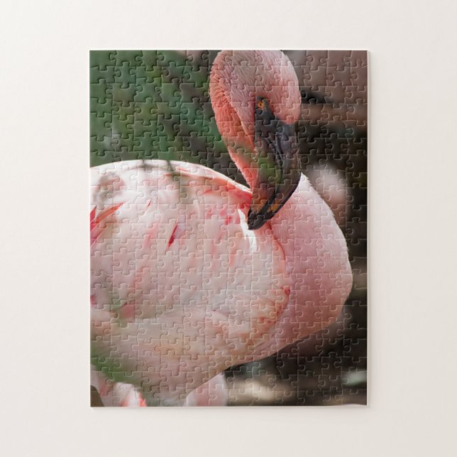 Flamingo Portrait (Vertikal)