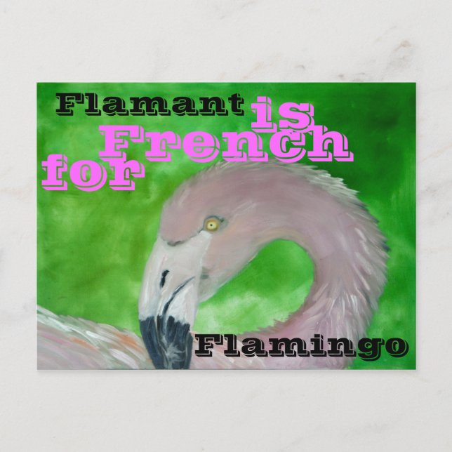 Flamingo Postcard Postkarte (Vorderseite)