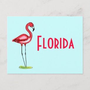 Flamingo Postcard Postkarte