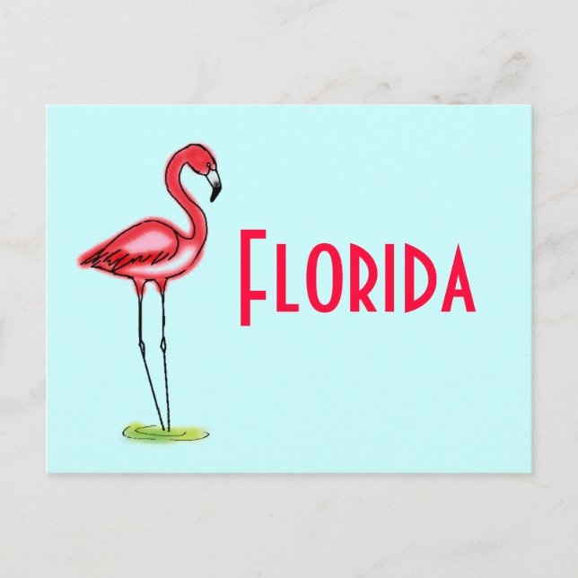 Flamingo Postcard Postkarte (Vorderseite)