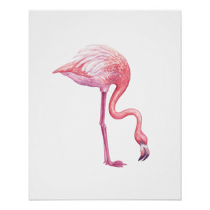 Flamingo Poster