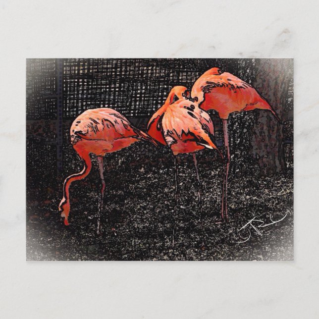 Flamingo Postkarte (Vorderseite)