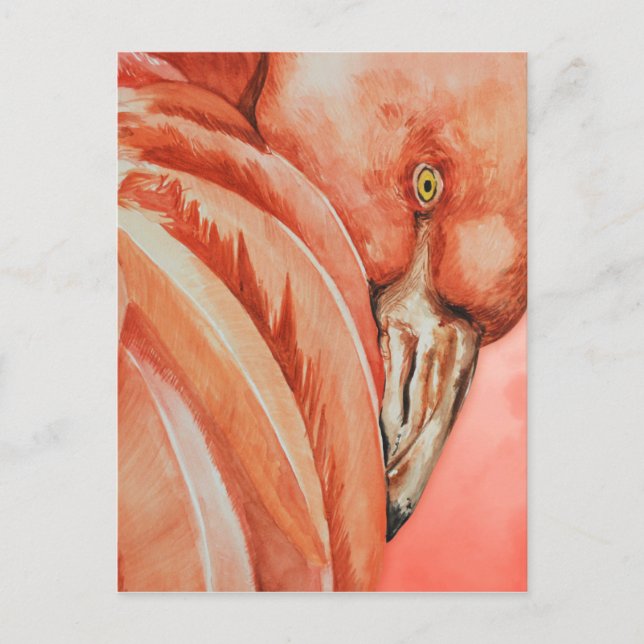 Flamingo Postkarte (Vorderseite)