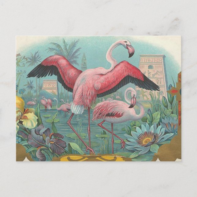 Flamingo Postkarte (Vorderseite)