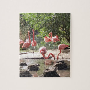 Flamingo Puzzle