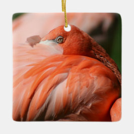 Flamingo-Quadrat Keramikornament