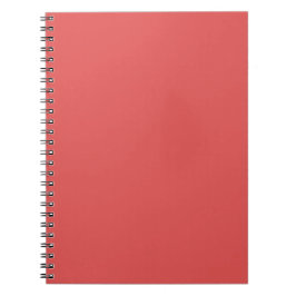 Flamingo Red Notizblock