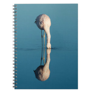 Flamingo-Reflexion, Laguna Chaxa, Atacama Notizblock