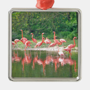 Flamingo Row am See im Frühjahr, Vögel Pink Wildli Silbernes Ornament
