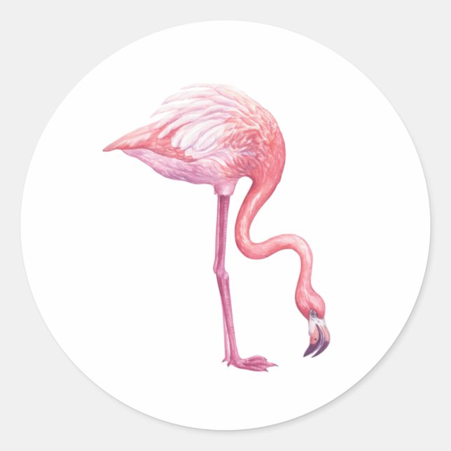 Flamingo Runder Aufkleber (Vorderseite)