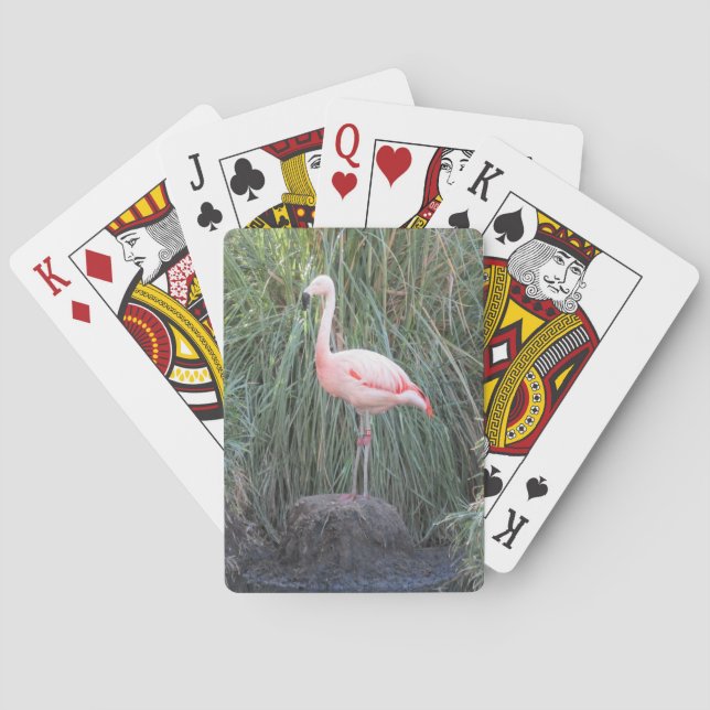 Flamingo Spielkarten (Rückseite)