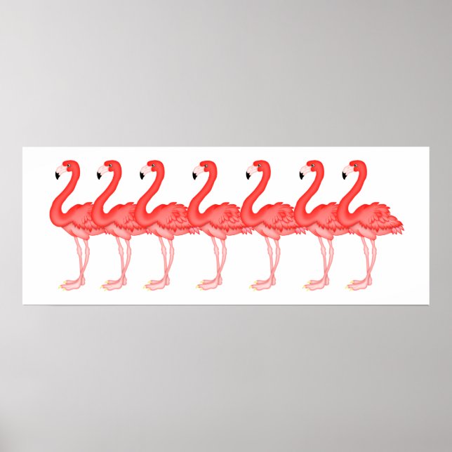 Flamingo — SRF Poster (Vorne)