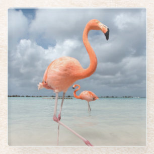 Flamingo-Strand Aruba Glasuntersetzer