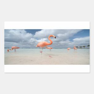 Flamingo-Strand Aruba Rechteckiger Aufkleber