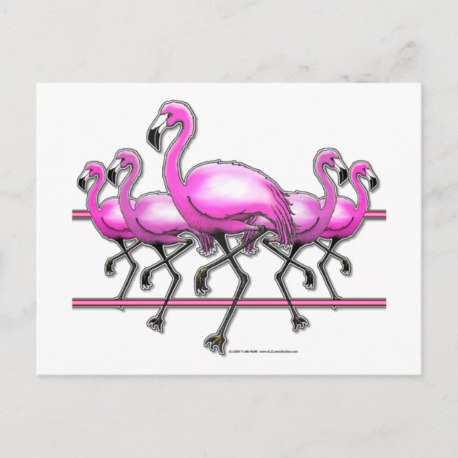 Flamingo Strip Postkarte (Vorderseite)