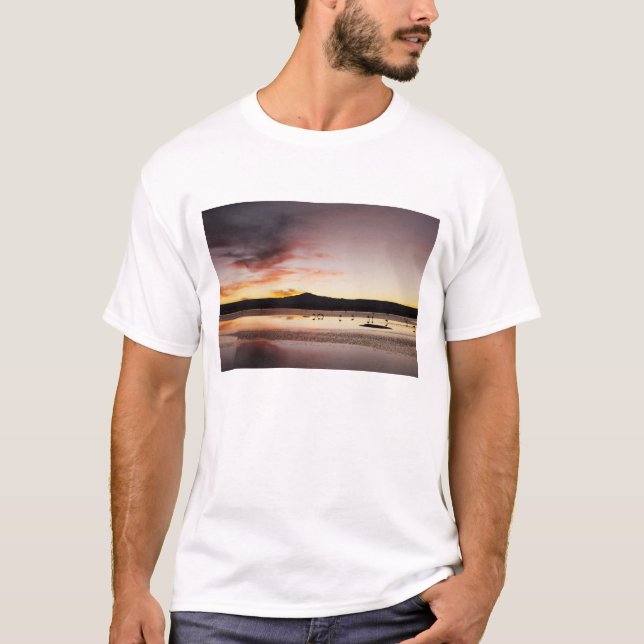 Flamingo T-Shirt (Vorderseite)