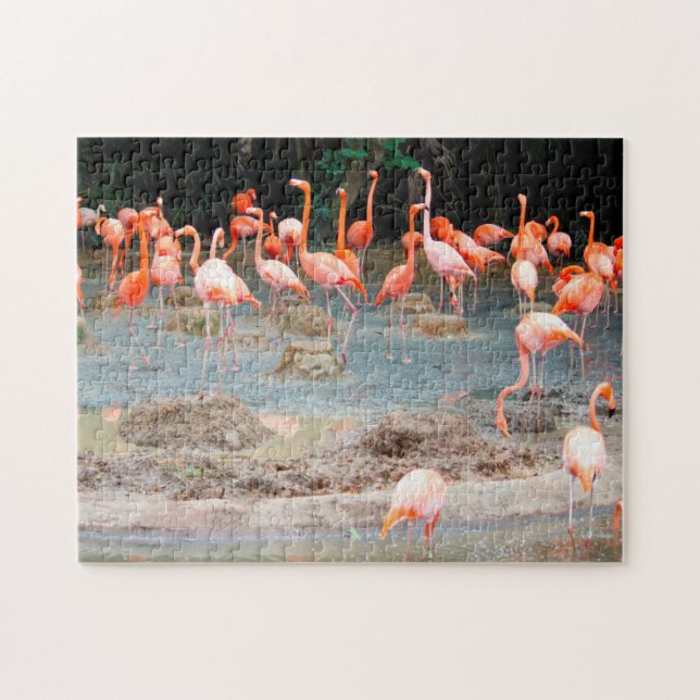 Flamingo-Teich Singapur. (Horizontal)