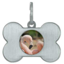Flamingo Tiermarke