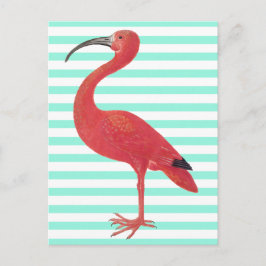 Flamingo u. aquamarine Streifen - feine Postkarte