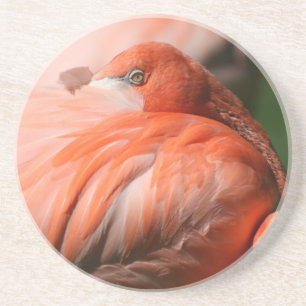 Flamingo Untersetzer