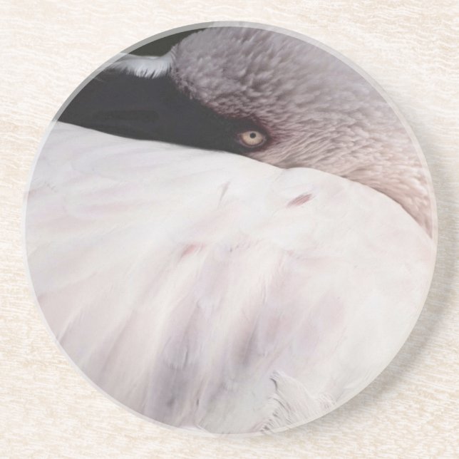 Flamingo Untersetzer (Vorne)