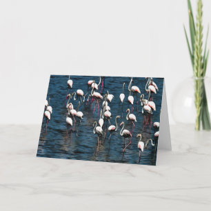 Flamingo Vögel in Rosa und Weiß auf Inkwell Blue Karte