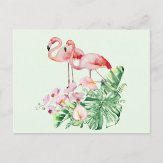 Flamingo-Vögel, tropische Blume und Blätter Postkarte