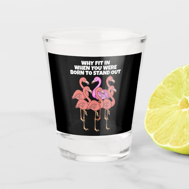 Flamingo Warum in der Zeit, als Sie Geboren waren, Schnapsglas (Vorderseite)