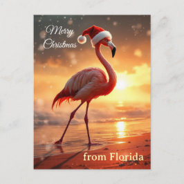 Flamingo Weihnachten Postkarte