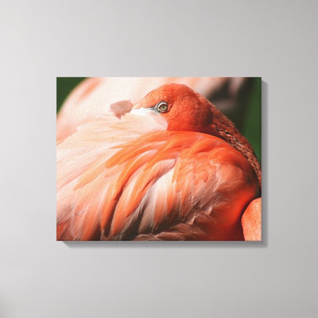 Flamingo Wrapped Canvas Leinwanddruck (Vorderseite)