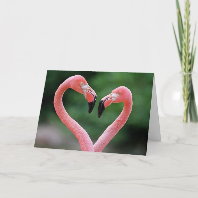 Flamingoanmerkungskarte Karte (Vorderseite)