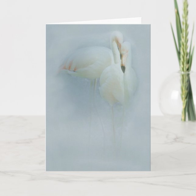 FLAMINGOfandango-GRUSS-KARTE Karte (Vorderseite)