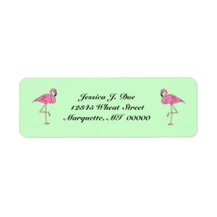 Flamingopaare des rosa