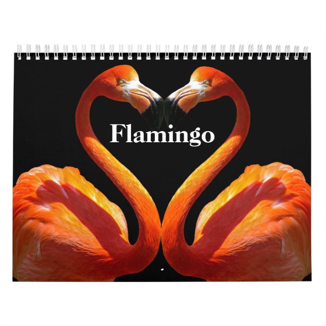 Flamingos 2025 kalender (Titelbild)