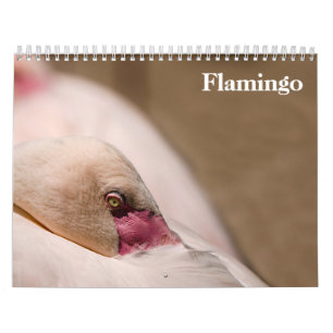 Flamingos 2025 kalender
