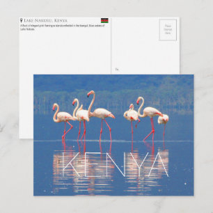 Flamingos am Nakurusee, Kenia Reise-Postkarte Postkarte