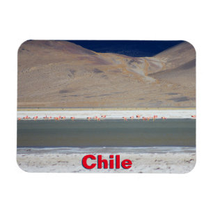 Flamingos at Salar del Huasco, Chile Magnet