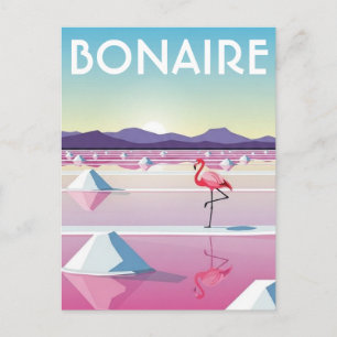 Flamingos auf Bonaire Niederländische Karibik Postkarte