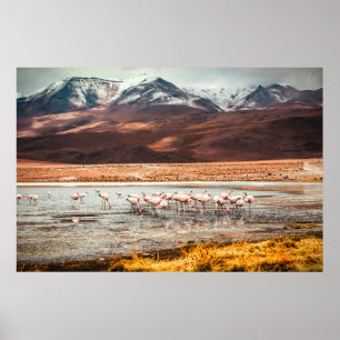 FLAMINGOS AUF DEM WASSERKÖRPER POSTER