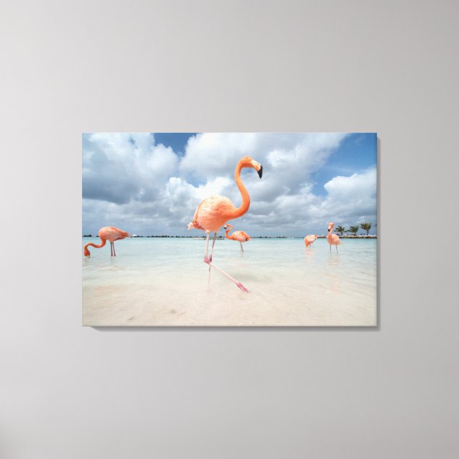 Flamingos Beach Aruba Leinwanddruck (Vorderseite)